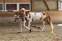 22-APHA HTB_002